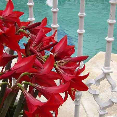 Hotel Palacio Donana , Rural & Luxury 3*