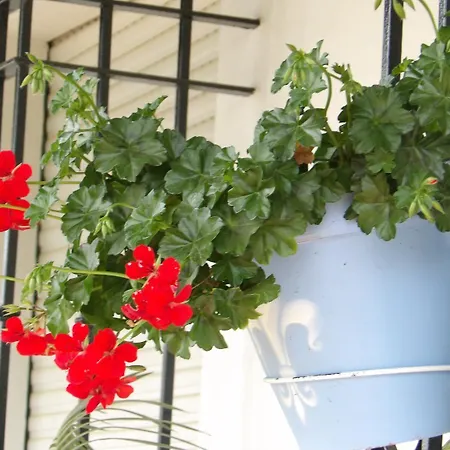 Palacio Donana , Rural & Luxury