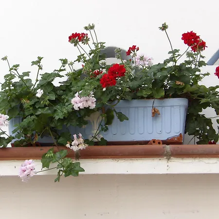 Hotel Palacio Donana , Rural & Luxury El Rocio